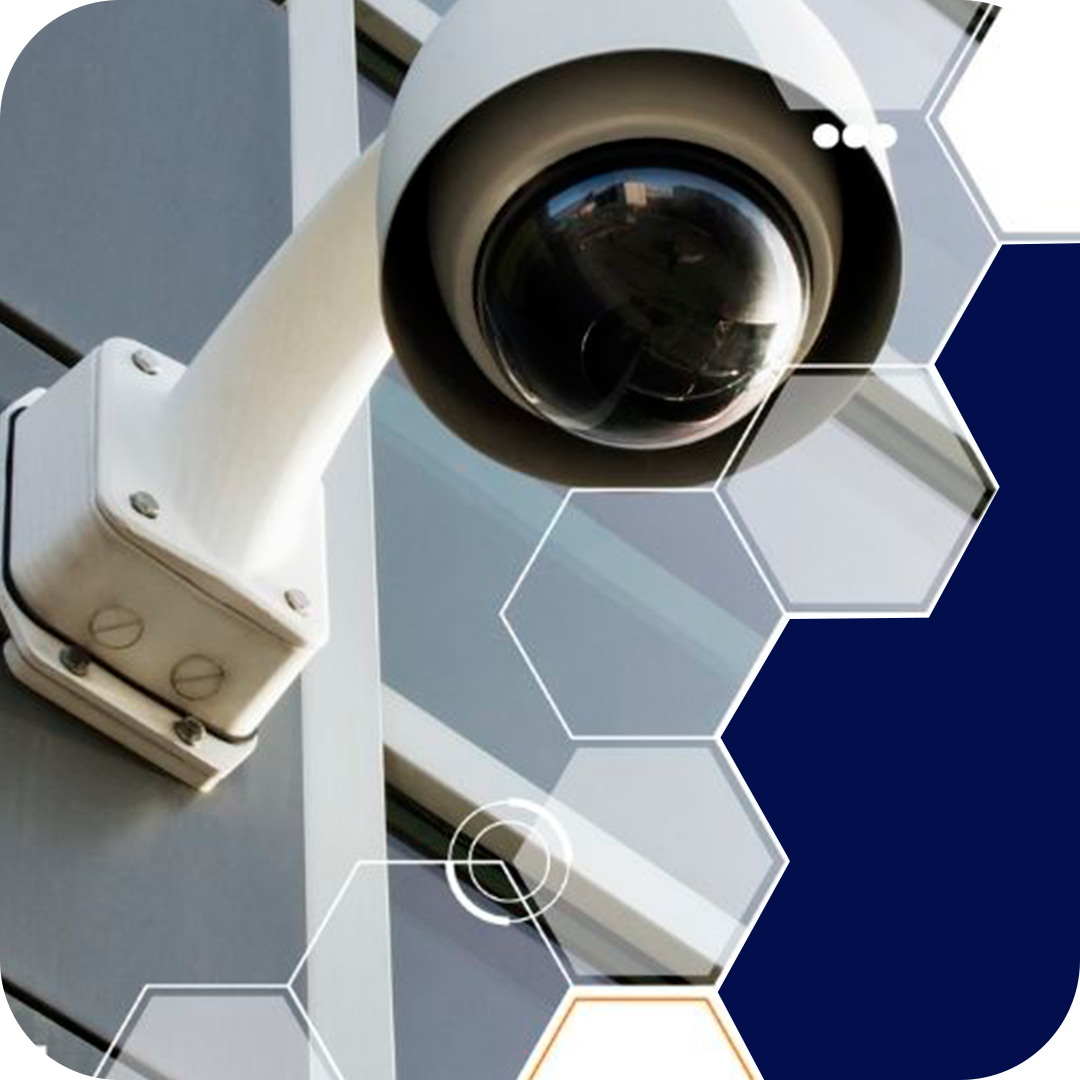 Seguridad perimetral